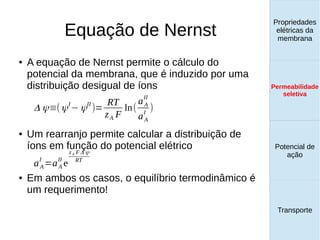 Equação de Nernst
Propriedades
elétricas da
membrana
Permeabilidade
seletiva
Transporte
Equilíbrio de
Donnan
● A equação de Nernst permite o cálculo do
potencial da membrana, que é induzido por uma
distribuição desigual de íons
● Um rearranjo permite calcular a distribuição de
íons em função do potencial elétrico
● Em ambos os casos, o equilíbrio termodinâmico é
um requerimento!
Δ ψ≡(ψI
−ψII
)=
RT
zA F
ln(
aA
II
aA
I
)
aA
I
=aA
II
e
zA FΔ ψ
RT
Propriedades
elétricas da
membrana
Permeabilidade
seletiva
Equilíbrio de
Donnan
Potencial de
ação
Transporte
Propriedades
elétricas da
membrana
Permeabilidade
seletiva
Potencial de
ação
Transporte
Permeabilidade
seletiva
 