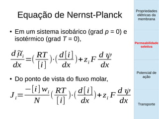 Equação de Nernst-Planck
Propriedades
elétricas da
membrana
Permeabilidade
seletiva
Transporte
Equilíbrio de
Donnan
● Em um sistema isobárico (grad p = 0) e
isotérmico (grad T = 0),
● Do ponto de vista do fluxo molar,
d~μi
dx
=(
RT
[i]
)⋅(
d[i]
dx
)+zi F
d ψ
dx
Ji=
−[i] wi
N
(
RT
[i]
)⋅(
d[i]
dx
)+zi F
d ψ
dx
Propriedades
elétricas da
membrana
Permeabilidade
seletiva
Equilíbrio de
Donnan
Potencial de
ação
Transporte
Propriedades
elétricas da
membrana
Permeabilidade
seletiva
Potencial de
ação
Transporte
Permeabilidade
seletiva
 