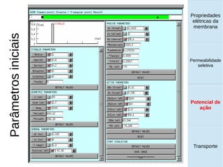 Propriedades
elétricas da
membrana
Permeabilidade
seletiva
Transporte
Equilíbrio de
Donnan
Parâmetrosiniciais Propriedades
elétricas da
membrana
Permeabilidade
seletiva
Equilíbrio de
Donnan
Potencial de
ação
Transporte
Propriedades
elétricas da
membrana
Permeabilidade
seletiva
Potencial de
ação
Transporte
Potencial de
ação
 