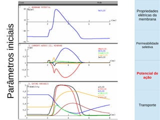 Propriedades
elétricas da
membrana
Permeabilidade
seletiva
Transporte
Equilíbrio de
Donnan
Parâmetrosiniciais Propriedades
elétricas da
membrana
Permeabilidade
seletiva
Equilíbrio de
Donnan
Potencial de
ação
Transporte
Propriedades
elétricas da
membrana
Permeabilidade
seletiva
Potencial de
ação
Transporte
Potencial de
ação
 