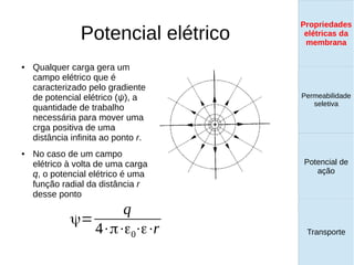 Potencial elétrico
● Qualquer carga gera um
campo elétrico que é
caracterizado pelo gradiente
de potencial elétrico (ψ), a
quantidade de trabalho
necessária para mover uma
crga positiva de uma
distância infinita ao ponto r.
● No caso de um campo
elétrico à volta de uma carga
q, o potencial elétrico é uma
função radial da distância r
desse ponto
Propriedades
elétricas da
membrana
Permeabilidade
seletiva
Transporte
Equilíbrio de
Donnan
ψ=
q
4⋅π⋅ε0⋅ε⋅r
Propriedades
elétricas da
membrana
Permeabilidade
seletiva
Equilíbrio de
Donnan
Potencial de
ação
Transporte
Propriedades
elétricas da
membrana
Permeabilidade
seletiva
Potencial de
ação
Transporte
Propriedades
elétricas da
membrana
 