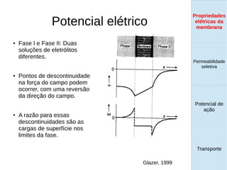 Potencial elétrico
● Fase I e Fase II: Duas
soluções de eletrólitos
diferentes.
● Pontos de descontinuidade
na força do campo podem
ocorrer, com uma reversão
da direção do campo.
● A razão para essas
descontinuidades são as
cargas de superfície nos
limites da fase.
Propriedades
elétricas da
membrana
Permeabilidade
seletiva
Transporte
Equilíbrio de
Donnan
Glazer, 1999
Propriedades
elétricas da
membrana
Permeabilidade
seletiva
Equilíbrio de
Donnan
Potencial de
ação
Transporte
Propriedades
elétricas da
membrana
Permeabilidade
seletiva
Potencial de
ação
Transporte
Propriedades
elétricas da
membrana
 