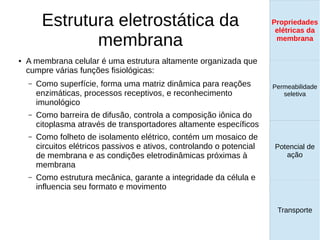 Estrutura eletrostática da
membrana
● A membrana celular é uma estrutura altamente organizada que
cumpre várias funções fisiológicas:
– Como superfície, forma uma matriz dinâmica para reações
enzimáticas, processos receptivos, e reconhecimento
imunológico
– Como barreira de difusão, controla a composição iônica do
citoplasma através de transportadores altamente específicos
– Como folheto de isolamento elétrico, contém um mosaico de
circuitos elétricos passivos e ativos, controlando o potencial
de membrana e as condições eletrodinâmicas próximas à
membrana
– Como estrutura mecânica, garante a integridade da célula e
influencia seu formato e movimento
Propriedades
elétricas da
membrana
Permeabilidade
seletiva
Transporte
Equilíbrio de
Donnan
Propriedades
elétricas da
membrana
Permeabilidade
seletiva
Equilíbrio de
Donnan
Potencial de
ação
Transporte
Propriedades
elétricas da
membrana
Permeabilidade
seletiva
Potencial de
ação
Transporte
Propriedades
elétricas da
membrana
 