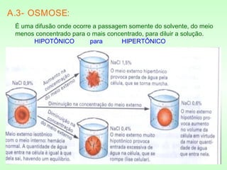 A.3- OSMOSE:
È uma difusão onde ocorre a passagem somente do solvente, do meio
menos concentrado para o mais concentrado, para diluir a solução.
HIPOTÔNICO para HIPERTÔNICO
 