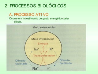 2. PROCESSOS BI OLÓGI COS
A. PROCESSO ATI VO
Ocorre um investimento de gasto energético pela
célula.
Ex: Bomba de Sódio e Potássio
 