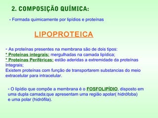 2. COMPOSIÇÃO QUÍMICA:
- Formada quimicamente por lipídios e proteínas
LIPOPROTEICA
- As proteínas presentes na membrana são de dois tipos:
* Proteínas integrais: mergulhadas na camada lipídica;
* Proteínas Periféricas: estão aderidas a extremidade da proteínas
Integrais;
Existem proteínas com função de transportarem substancias do meio
extracelular para intracelular.
- O lipídio que compõe a membrana é o FOSFOLIPÍDIO, disposto em
uma dupla camada;que apresentam uma região apolar( hidrófoba)
e uma polar (hidrófila).
 
