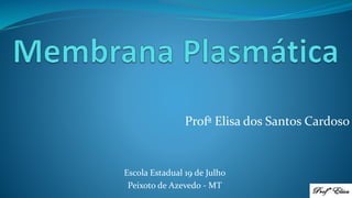 Profª Elisa dos Santos Cardoso
Escola Estadual 19 de Julho
Peixoto de Azevedo - MT
 