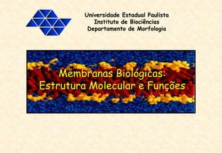Membranas Biológicas:
Estrutura Molecular e Funções
Universidade Estadual Paulista
Instituto de Biociências
Departamento de Morfologia
 