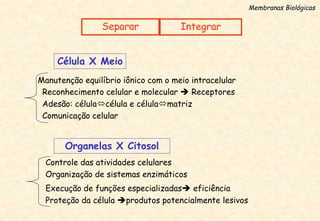 Célula X Meio
Manutenção equilíbrio iônico com o meio intracelular
Reconhecimento celular e molecular  Receptores
Adesão: célulacélula e célulamatriz
Comunicação celular
Organelas X Citosol
Execução de funções especializadas eficiência
Organização de sistemas enzimáticos
Controle das atividades celulares
Proteção da célula produtos potencialmente lesivos
Separar
Membranas Biológicas
Integrar
 
