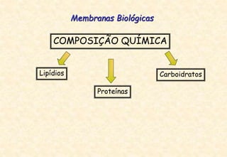 COMPOSIÇÃO QUÍMICA
Membranas Biológicas
Lipídios
Proteínas
Carboidratos
 