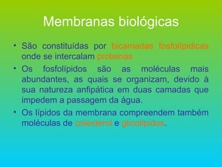 Membranas biológicas São constituídas por  bicamadas fosfolípidicas  onde se intercalam  proteinas . Os fosfolípidos são as moléculas mais abundantes, as quais se organizam, devido à sua natureza anfipática em duas camadas que impedem a passagem da água. Os lípidos da membrana compreendem também moléculas de  colesterol  e  glicolípidos . 