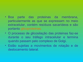 Boa parte das proteinas da membrana, particularmente as que se expressam no meio extracelular, contém resíduos sacarídeos e são portanto  glicoproteinas. O processo de glicosilação das proteinas faz-se durante o seu tráfego intracelular e termina quando passam pelo complexo de Golgi. Estão sujeitas a movimentos de rotação e de deslocamento lateral. 
