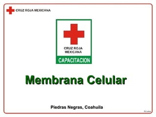 Dr.Lorca Membrana Celular Piedras Negras, Coahuila 