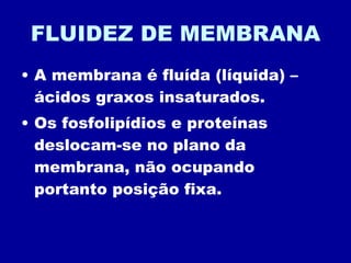 FLUIDEZ DE MEMBRANA A membrana é fluída (líquida) – ácidos graxos insaturados. Os fosfolipídios e proteínas deslocam-se no plano da membrana, não ocupando portanto posição fixa. 