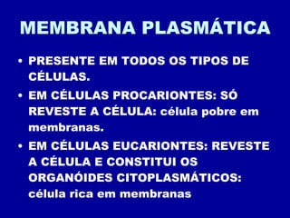 MEMBRANA PLASMÁTICA PRESENTE EM TODOS OS TIPOS DE CÉLULAS. EM CÉLULAS PROCARIONTES: SÓ REVESTE A CÉLULA: célula pobre em membranas. EM CÉLULAS EUCARIONTES: REVESTE A CÉLULA E CONSTITUI OS ORGANÓIDES CITOPLASMÁTICOS: célula rica em membranas 