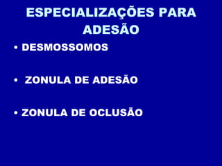 ESPECIALIZAÇÕES PARA ADESÃO DESMOSSOMOS ZONULA DE ADESÃO ZONULA DE OCLUSÃO 