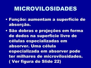 MICROVILOSIDADES Função: aumentam a superfície de absorção. São dobras e projeções em forma de dedos na superfície livre de células especializadas em absorver. Uma célula especializada em absorver pode ter milhares de microvilosidades. ( Ver figura do Slide 22) 