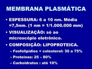 MEMBRANA PLASMÁTICA ESPESSURA: 6 a 10 nm. Média =7,5nm. (1 nm = 1/1.000.000 mm) VISUALIZAÇÃO: só ao microscópio eletrônico. COMPOSIÇÃO: LIPOPROTEICA. Fosfolipídios + colesterol: 30 a 75% Proteínas: 25 – 80% Carboidratos : até 10% 