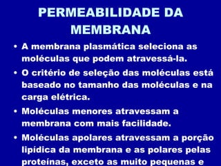 PERMEABILIDADE DA MEMBRANA A membrana plasmática seleciona as moléculas que podem atravessá-la. O critério de seleção das moléculas está baseado no tamanho das moléculas e na carga elétrica. Moléculas menores atravessam a membrana com mais facilidade. Moléculas apolares atravessam a porção lipídica da membrana e as polares pelas proteínas, exceto as muito pequenas e fracamente polares. 