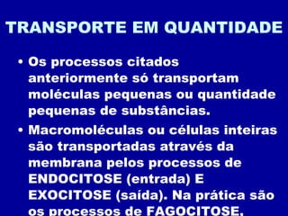 TRANSPORTE EM QUANTIDADE Os processos citados anteriormente só transportam moléculas pequenas ou quantidade pequenas de substâncias. Macromoléculas ou células inteiras são transportadas através da membrana pelos processos de ENDOCITOSE (entrada) E EXOCITOSE (saída). Na prática são os processos de FAGOCITOSE, PINOCITOSE E EXOCITOSE 