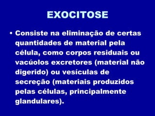 EXOCITOSE Consiste na eliminação de certas quantidades de material pela célula, como corpos residuais ou vacúolos excretores (material não digerido) ou vesículas de secreção (materiais produzidos pelas células, principalmente glandulares). 