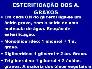 ESTERIFICAÇÃO DOS A. GRAXOS Em cada OH do glicerol liga-se um ácido graxo, com a saída de uma molécula de água. Reação de esterificação. Monoglicerídeo: 1 glicerol + 1 a. graxo. Diglicerídeo: 1 glicerol + 2 ác. Graxo. Triglicerídeo: 1 glicerol + 3 ácidos graxos. A maioria dos óleos vegetais e gorduras animais são triglicerídeos. 