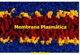 Membrana Plasmática Fabio Barbosa 