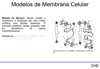 Fonte: Garcia, E. A. C. Biofísica.  Editora Savier, 2000 (pg. 5). Modelo de Benson.  Nesse modelo a membrana é composta por uma matriz protéica com lipídios dispersos. O principal problema dessa proposta está na inexistência de canais transmembranas. Referência:  Benson , A. A. (1966).  J.  Amer .  Oil   Chem .  Soc ., 43:265-270. Modelos de Membrana Celular CHE 
