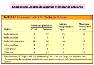Composição Lipídica de algumas membranas celulares 