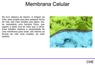 Membrana Celular No livro clássico de Oparin, A Origem da Vida, esse propôs que para qualquer forma de vida, das mais simples que sejam, faz-se necessária uma barreira física, que separe a parte viva do meio que a cerca. Esse trabalho destaca a necessidade de uma membrana para isolar, até mesmo as formas de vida mais simples, do meio exterior.  CHE 
