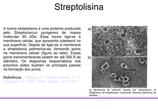 Streptolisina A toxina streptolisina é uma proteína produzida pelo  Streptococcus pyrogenes  de massa molecular 65 kDa. Essa toxina liga-se à membrana celular, que apresenta colesterol na sua superfície. Depois de ligar-se à membrana a streptolisina polimeriza-se, formando poros na membrana celular (figura ao lado). Esses poros transmembranas podem ter até 350  Å de diâmetro.  Os diagramas esquemáticos nos próximos slides ilustram os principais passos na formação dos poros. Referência:  Bhakdi , S.,  Tranum-Jensen , J., &  Sziegoleit , A. (1985).  Infec .  Immun .  47:52-60.  a) Membrana de eritrócito lisadas por streptolisina. b) Oligômeros de streptolisina, mostrando diversas estruturas de bastões. a) b) 
