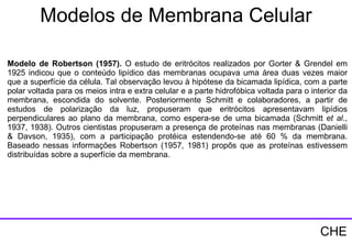 Modelos de Membrana Celular Modelo de Robertson (1957).  O estudo de eritrócitos realizados por Gorter & Grendel em 1925 indicou que o conteúdo lipídico das membranas ocupava uma área duas vezes maior que a superfície da célula. Tal observação levou à hipótese da bicamada lipídica, com a parte polar voltada para os meios intra e extra celular e a parte hidrofóbica voltada para o interior da membrana, escondida do solvente. Posteriormente Schmitt e colaboradores, a partir de estudos de polarização da luz, propuseram que eritrócitos apresentavam lipídios perpendiculares ao plano da membrana, como espera-se de uma bicamada (Schmitt  et al ., 1937, 1938). Outros cientistas propuseram a presença de proteínas nas membranas (Danielli & Davson, 1935), com a participação protéica estendendo-se até 60 % da membrana. Baseado nessas informações Robertson (1957, 1981) propôs que as proteínas estivessem distribuídas sobre a superfície da membrana.   CHE 