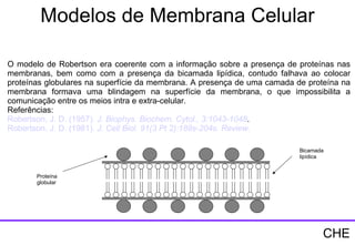 Modelos de Membrana Celular O modelo de Robertson era coerente com a informação sobre a presença de proteínas nas membranas, bem como com a presença da bicamada lipídica, contudo falhava ao colocar proteínas globulares na superfície da membrana. A presença de uma camada de proteína na membrana formava uma blindagem na superfície da membrana, o que impossibilita a comunicação entre os meios intra e extra-celular. Referências: Robertson , J. D. (1957).  J.  Biophys .  Biochem .  Cytol .,  3:1043-1048 . Robertson , J. D. (1981).  J.  Cell   Biol .  91(3 Pt 2):189s-204s. Review.  Proteína  globular Bicamada lipídica CHE 