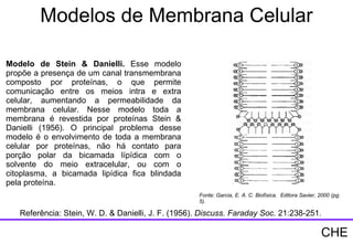Modelos de Membrana Celular Modelo de Stein & Danielli.  Esse modelo propõe a presença de um canal transmembrana composto por proteínas, o que permite comunicação entre os meios intra e extra celular, aumentando a permeabilidade da membrana celular. Nesse modelo toda a membrana é revestida por proteínas Stein & Danielli (1956). O principal problema desse modelo é o envolvimento de toda a membrana celular por proteínas, não há contato para porção polar da bicamada lípídica com o solvente do meio extracelular, ou com o citoplasma, a bicamada lipídica fica blindada pela proteína. Referência: Stein, W. D. & Danielli, J. F. (1956).  Discuss. Faraday Soc . 21:238-251. Fonte: Garcia, E. A. C. Biofísica.  Editora Savier, 2000 (pg. 5). CHE 