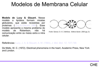 Modelo de Lucy & Glauert.  Nesse modelo o lipídeos formam micelas globulares, que estão revestidas por proteínas ( Lucy  &  Glauert , 1964 ). Esse modelo apresenta o mesmo problema do modelo de Robertson, não há comunicação entre os meios extra e intra celular. Referências:  Lucy , J. A. &  Glauert ,  A. M.  (1964).  J. Mol.  Biol . 12: 727-748. De Mello, W. C. (1972). Electrical phenomena in the heart, Academic Press, New York and London. Fonte: Garcia, E. A. C. Biofísica.  Editora Savier, 2000 (pg. 5). Modelos de Membrana Celular CHE 