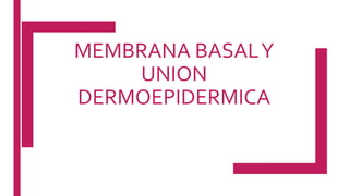 MEMBRANA BASALY
UNION
DERMOEPIDERMICA
 