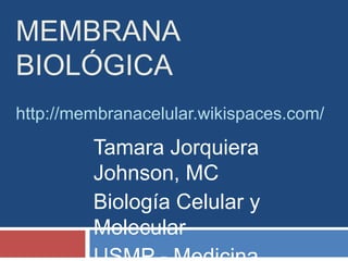 Membrana Biológicahttp://membranacelular.wikispaces.com/ Tamara Jorquiera Johnson, MC Biología Celular y Molecular USMP - Medicina 