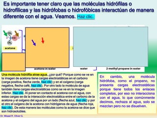 Una molécula hidrófíla atrae agua, ¿por qué? Porque como se ve en
la imagen de acetona tiene cargas electrostáticas en el carbono
(carga positiva, flecha verde, haz clic) y en el oxígeno (carga
negativa, flecha café, haz clic). Por otro lado la molécula de agua
también tiene cargas electrostáticas como se ve en la imagen
inferior. Haz clic. Al poner en contacto el acetona con el agua, con
estas cargas se da la interacción electrostática entre el carbono de la
acetona y el oxígeno del agua por un lado (flecha azul, haz clic) y por
el otro el oxígeno de la acetona con hidrógenos de agua (flecha roja,
haz clic). De esta manera las moléculas como la acetona se dice que
son hidrosolubles.
En cambio, una molécula
hidrófoba, como el propano, no
presenta cargas electrostáticas
porque tiene todos los enlaces
completos, por eso no interacciona
con el agua, lo que comúnmente
decimos, rechaza al agua, solo se
mezclan pero no se disuelven.
Es importante tener claro que las moléculas hidrófilas o
hidrofílicas y las hidrófobas o hidrofóbicas interactúan de manera
diferente con el agua. Veamos. Haz clic.
Dr. Misael R. Oliver G.
 