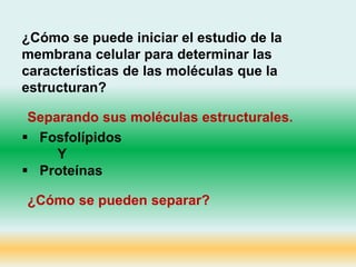 ¿Cómo se puede iniciar el estudio de la
membrana celular para determinar las
características de las moléculas que la
estructuran?
 Fosfolípidos
Y
 Proteínas
Separando sus moléculas estructurales.
¿Cómo se pueden separar?
 