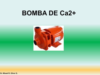 BOMBA DE Ca2+
Dr. Misael R. Oliver G.
 