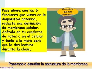 Pues ahora con las 5
funciones que vimos en la
diapositiva anterior,
redacta una definición
de membrana celular.
Anótala en tu cuaderno
de notas o en el celular
y tenla a la mano para
que le des lectura
durante la clase.
¿Entendiste
qué es la
membrana?
Pasemos a estudiar la estructura de la membrana
Dr. Misael R. Oliver G.
 