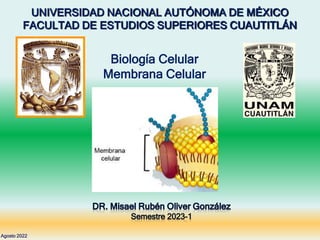 UNIVERSIDAD NACIONAL AUTÓNOMA DE MÉXICO
FACULTAD DE ESTUDIOS SUPERIORES CUAUTITLÁN
Biología Celular
Membrana Celular
Agosto 2022
 