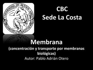 CBC 
Sede La Costa 
Membrana 
(concentración y transporte por membranas 
biológicas) 
Autor: Pablo Adrián Otero 
 