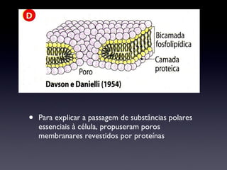 Para explicar a passagem de substâncias polares essenciais à célula, propuseram poros membranares revestidos por proteínas 