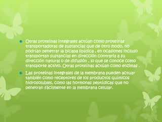 Otras proteínas integrales actúan como proteínas
transportadoras de sustancias que de otro modo, no
podrían penetrar la bicapa lipídica , en ocasiones incluso
transportan sustancias en dirección contraria a su
dirección natural o de difusión , lo que se conoce como
transporte activo. Otras proteínas actúan como enzimas .
Las proteínas integrales de la membrana pueden actuar
también como receptores de los productos químicos
hidrosolubles, como las hormonas peptídicas que no
penetran fácilmente en la membrana celular.
 