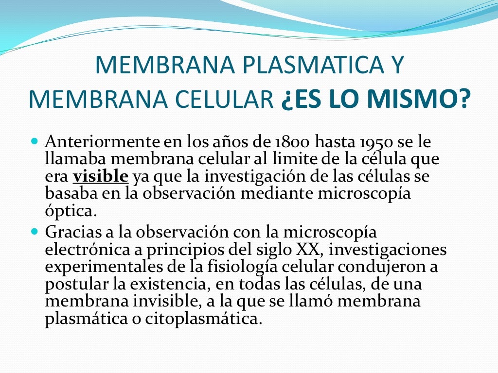 Concepto Y Definicion Es Lo Mismo