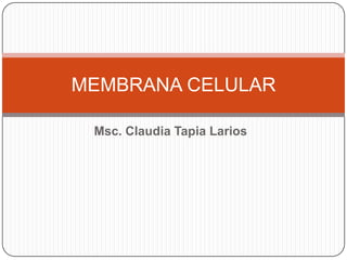 MEMBRANA CELULAR

 Msc. Claudia Tapia Larios
 
