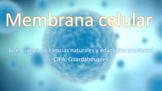 Membrana celular 
Licenciatura en ciencias naturales y educación ambiental 
CIPA: Guardabosques 
 