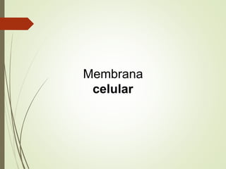 Membrana
celular
 