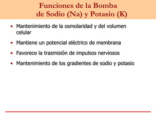 Funciones de la Bomba
de Sodio (Na) y Potasio (K)
• Mantenimiento de la osmolaridad y del volumen
celular
• Mantiene un potencial eléctrico de membrana
• Favorece la trasmisión de impulsos nerviosos
• Mantenimiento de los gradientes de sodio y potasio
 